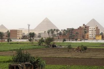 مصر تنوي استيراد 80 ألف طن من الأرز "فورا" قبل شهر رمضان