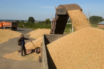 روسيا تلغي رسوم تصدير القمح حتى يوليو 2018