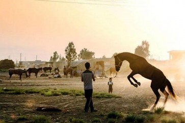 تنافس فیلم اتلان الایراني مع عشرین فیلما وثائقیا اخر