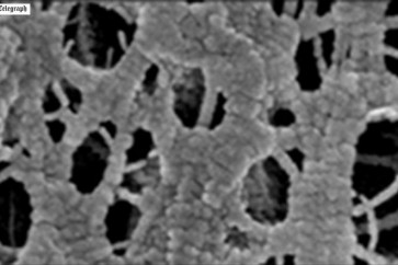 القماش المطور بطريقة النانو تحت الميكروسكوب