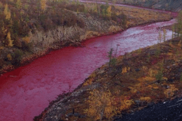 لماذا تحول نهر روسي إلى لون الدم؟
