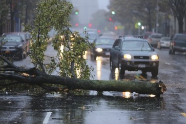 A fallen tree lies on Franklin D. Roosevelt East River Drive in the Manhattan borough of New York, Oct. 29, 2012. Hurricane Sandy churned through the Atlantic Ocean on Monday on the way to carving what forecasters agreed would be a devastating path on land that is expected to paralyze life for millions of people in more than a half-dozen states. (Librado Romero/The New York Times)