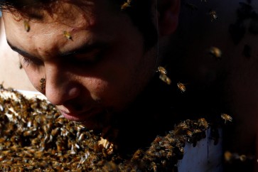 مصري يحقق شهرة عالمية بـ"لحية النحل"