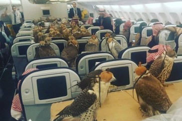 أمير سعودي يحجز 80 مقعدا لصقوره على متن طائرة أمريكية اثناء ذهابة لرحلة قنص