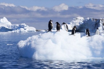 القارة القطبية الجنوبية ستكون مستخدمة فقط من قبل البعثات العلمية