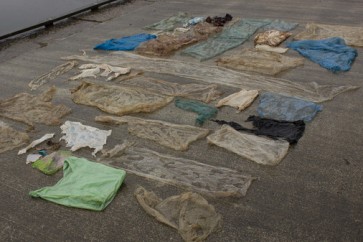 الأكياس البلاستيكية المستخرجة من معدة الحوت في ميناء برجن النرويجي
