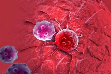 أجسام مضادة قادرة على محاربة الأورام الخبيثة في الجسم