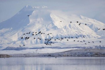 التغير المناخي يؤدي إلى زيادة قياسية في تساقط الثلوج في ألاسكا