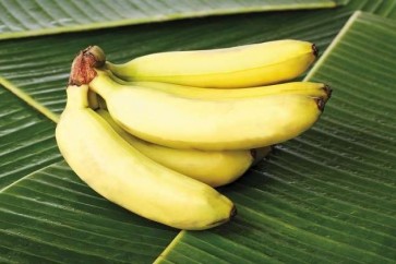 قشر الموز قد يحتوي على سموم قاتلة!