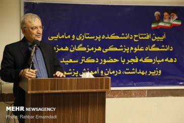 وزير الصحة الايراني سعيد نمكي