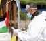 الصحة الفلسطينية: تسجيل 67 إصابة جديدة بفيروس كورونا