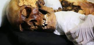Mummies Poland