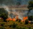 حريق شمال فلسطين المحتلة - طوفان الأقصى